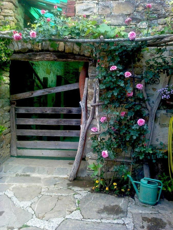 Il Glicine Bed and Breakfast San Dorligo della Valle Exteriör bild