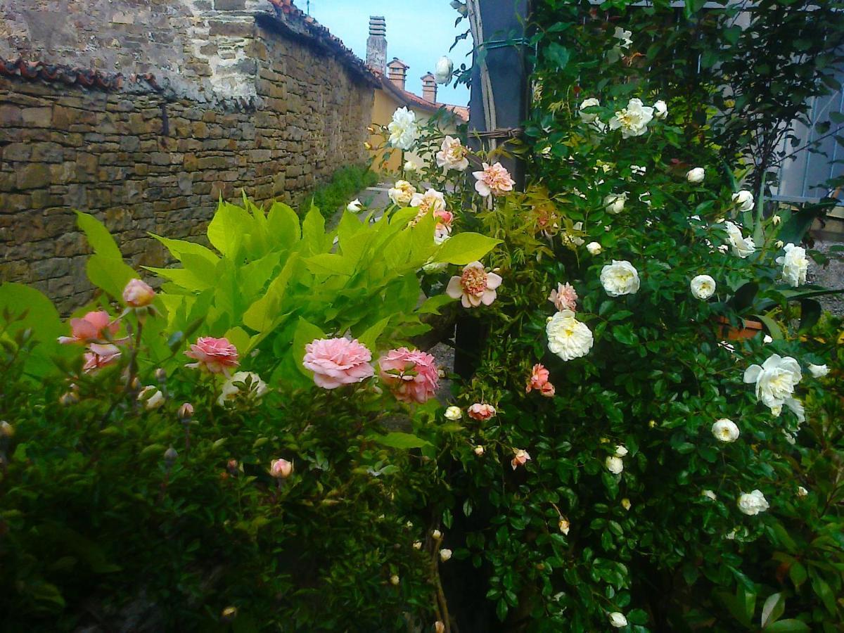 Il Glicine Bed and Breakfast San Dorligo della Valle Exteriör bild