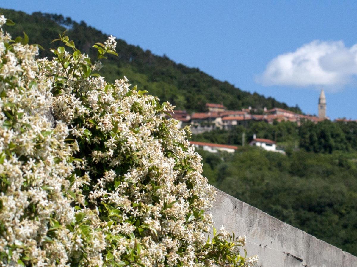 Il Glicine Bed and Breakfast San Dorligo della Valle Exteriör bild