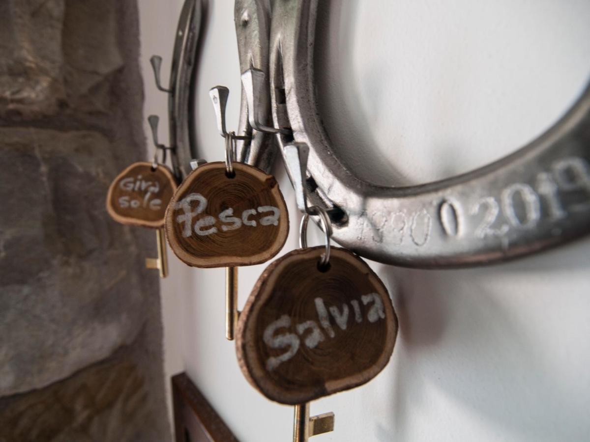 Il Glicine Bed and Breakfast San Dorligo della Valle Exteriör bild