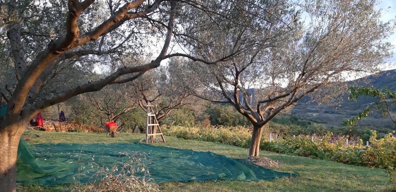 Il Glicine Bed and Breakfast San Dorligo della Valle Exteriör bild